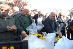 Hatay’da Ücretsiz Mandalina Dağıtımı